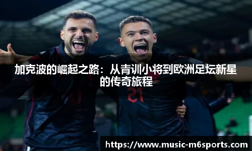 米乐m6